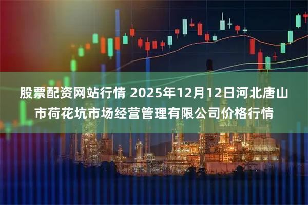 股票配资网站行情 2025年12月12日河北唐山市荷花坑市场经营管理有限公司价格行情