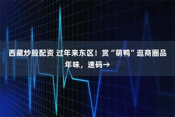 西藏炒股配资 过年来东区！赏“萌鸭”逛商圈品年味，速码→